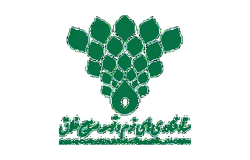 نمادهای مجموعه نت یک 15 گواهی شرکت خلاق